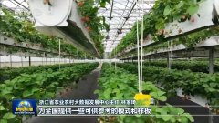 新思惟引领新征程丨加速扶植数字村落