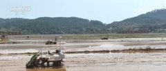 农业出产向“智”向“新” “太空紫云英